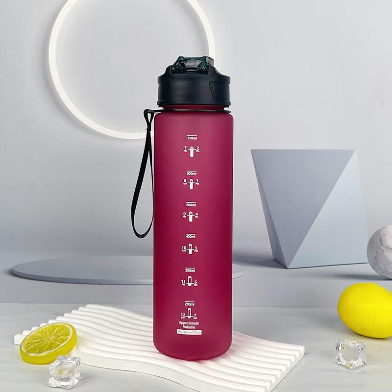 750ml Men's Durable Pop-up Lid Water Cup with Straw and Handle for Outdoor Sports