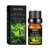 10ML Gentle Moisturizing Massage Oil for Oily Skin - Essential Oil for Body Massage