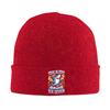 67 Brainrot Italian Meme Funny Knit Hat  Beanie Hats Kpop Warm Soft Female Male Bonnet Hats Winter Custom Street Caps Gift