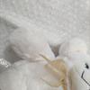 [USED] Cheeky Bear Teddy Bear White