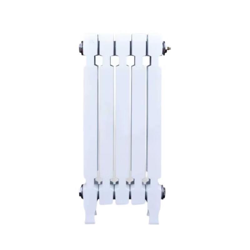 Huxin Cast Iron Painted Radiator
