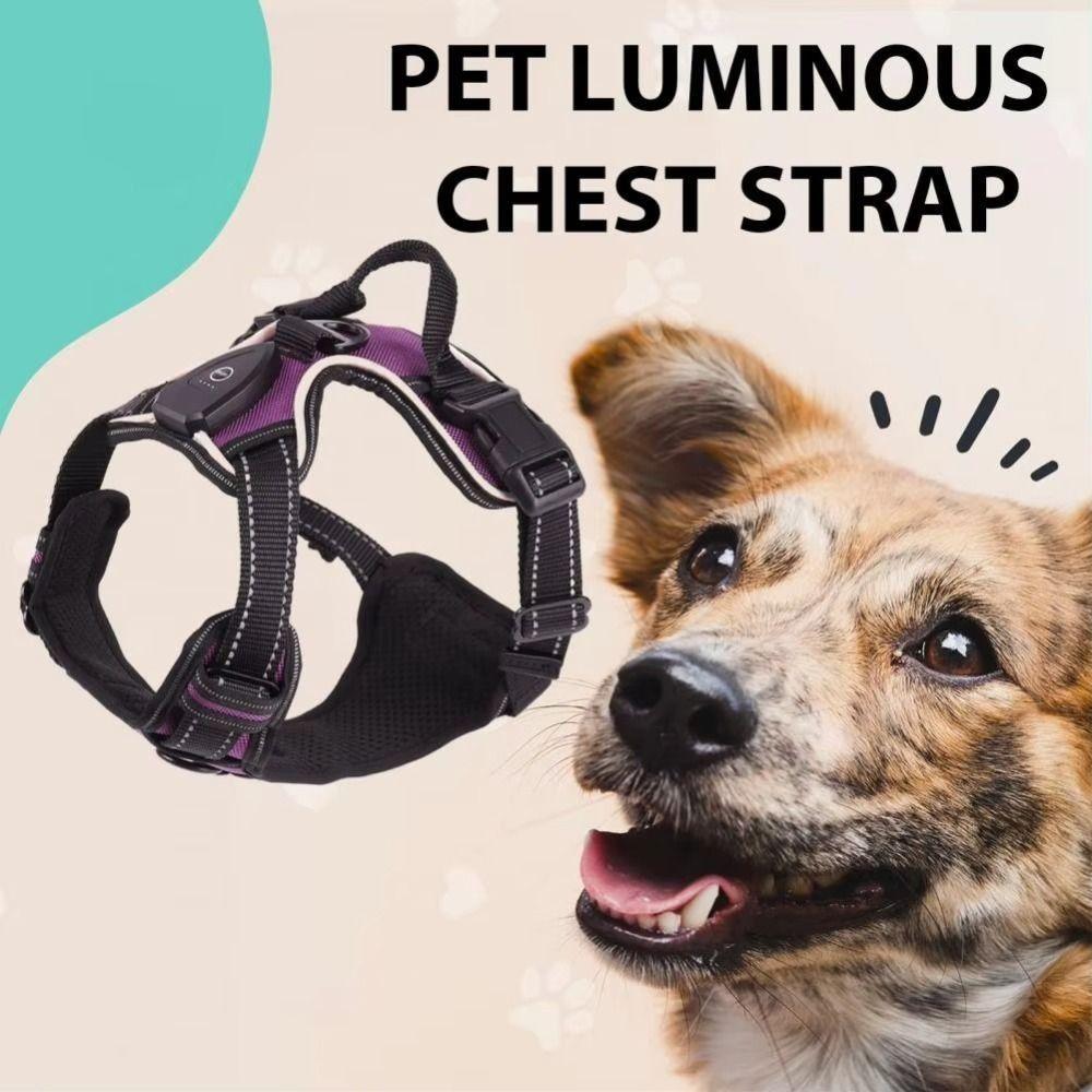 Light Up Luminous Pet Chest Strap Adjustable Dog Glow Vest Practical LED Dog Harness  Cats Pet