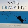 Why Birds Fly by Alan Scott Paperback Book 9781837945283