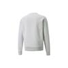 Puma Protec.t Crew Neck Sweatshirt With Front Zip Pocket Men Tops Light-Grey 534404-09