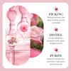 SADOER Rose Essential Oil Kamille Rosemary Lavendel Essence fukter låser vann og forskjønner hudtone Hudpleie