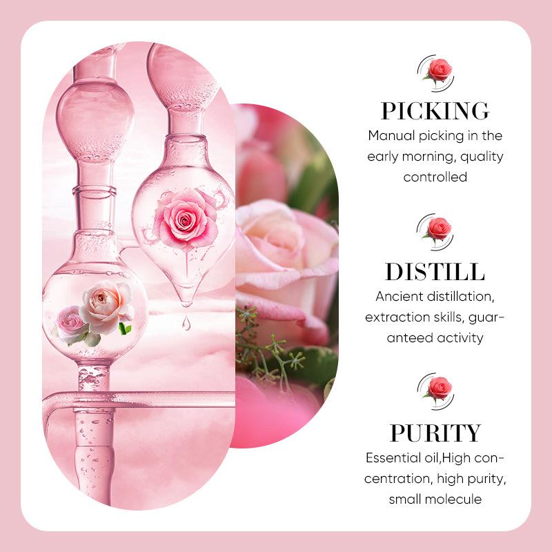SADOER Rose Essential Oil Kamille Rosemary Lavendel Essence fukter låser vann og forskjønner hudtone Hudpleie