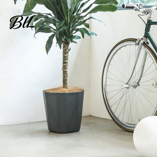 Contemporary Flower Pot Plant with Drainage Holes Decorative Planter Matching Saucer Modern for Indoor Outdoor Use Pothos Aloe