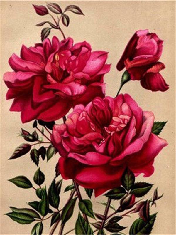 Diamont Painting Blomster Diamantmaling 5D Nye Ankomster Korsstingsett Diamantkunstmalesett