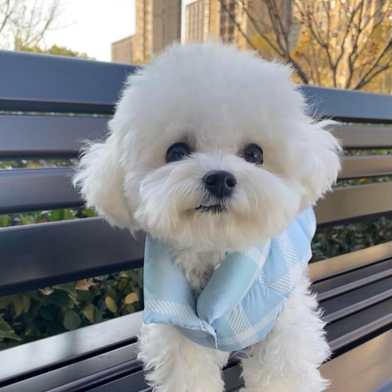 Warm Winter Dog Coat Small Medium Dogs Coral Fleece Pet Vest Ins Style Four Legs Optional