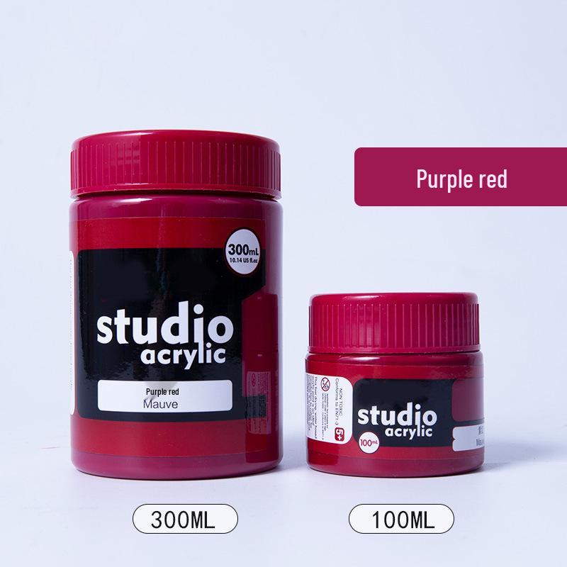 24-Color Acrylic Paint Set: Waterproof, 300ml Cans for Wall, Clothing & Shoes DIY Projects
