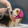 2026 Paraorecchie a Orecchie di Cane (Addensato) Per Rumore e Bagno - Protezione Impermeabile Con Cappuccio Rilassante Elastico, Toelettatura