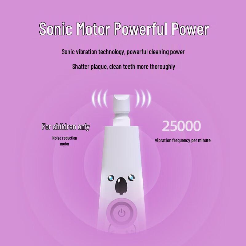 Audemai DY-119 Sonic Electric Toothbrush