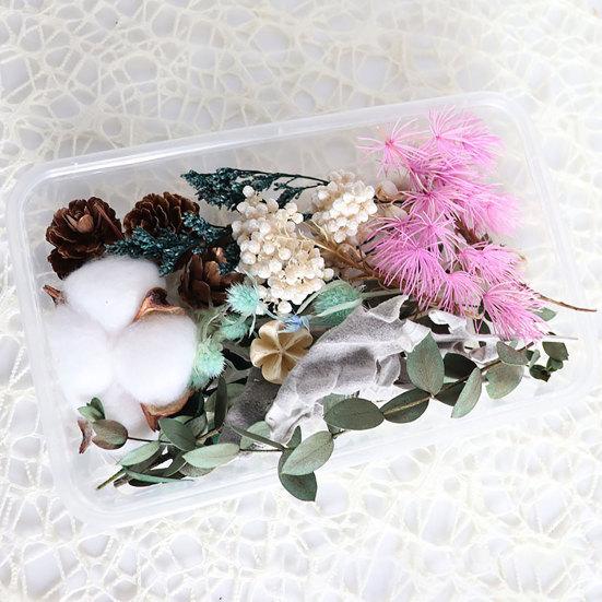 Dried Flowers Home Photography Props DIY Ornament Craft Specimen Accessories