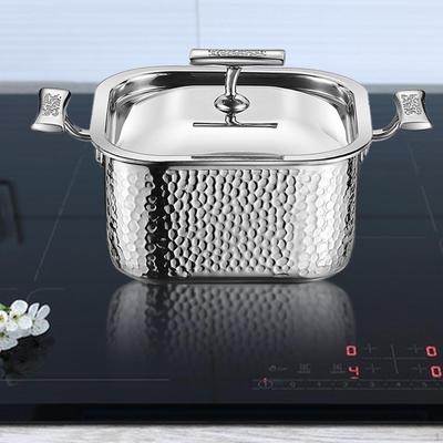 Stainless Steel Cooking Pot for Large Gatherings