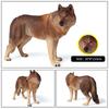 Oenux Big Size Savage Wild Beast Animals Wolf Wolves Model Action Figures Collection Solid PVC High Quality Home decor Toy Gift