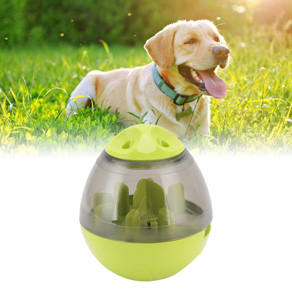 Pet Food Dispensing   Interactive Memory Training Dog Slow Feeder Puzzle Toy for Puppy Cat
