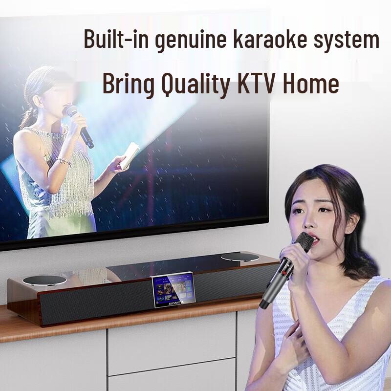 SANSUI DV-91F Home KTV Soundbar System CN Plug (adapter Included)