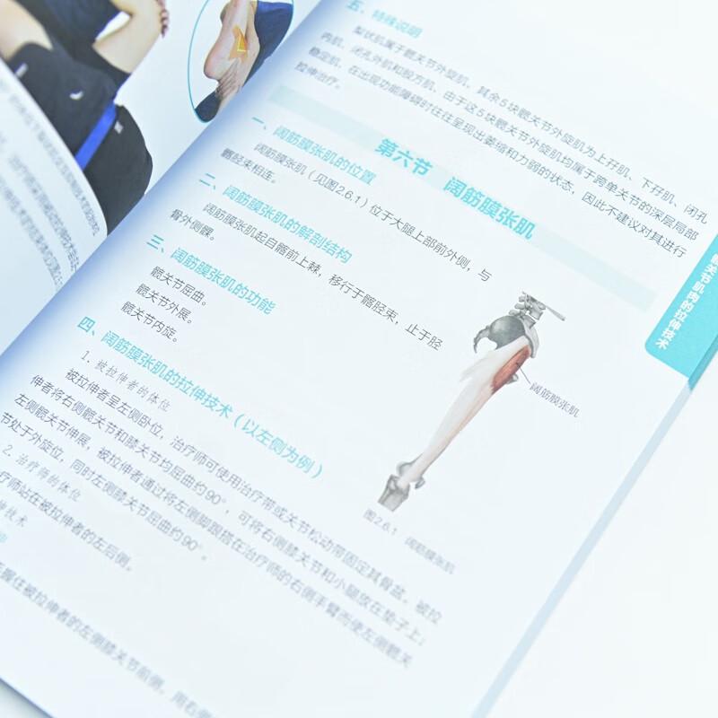 Illustrated Guide To Lower Limb Muscle Stretching