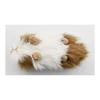 BH3735 HANSA Guinea Pig 20