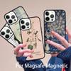 Pride and Prejudice Book Phone Case Magesafe Magnetic Wireless Charge Cover For iPhone 17 Air 16 16e 11 12 13 14 15 Pro Max Plus