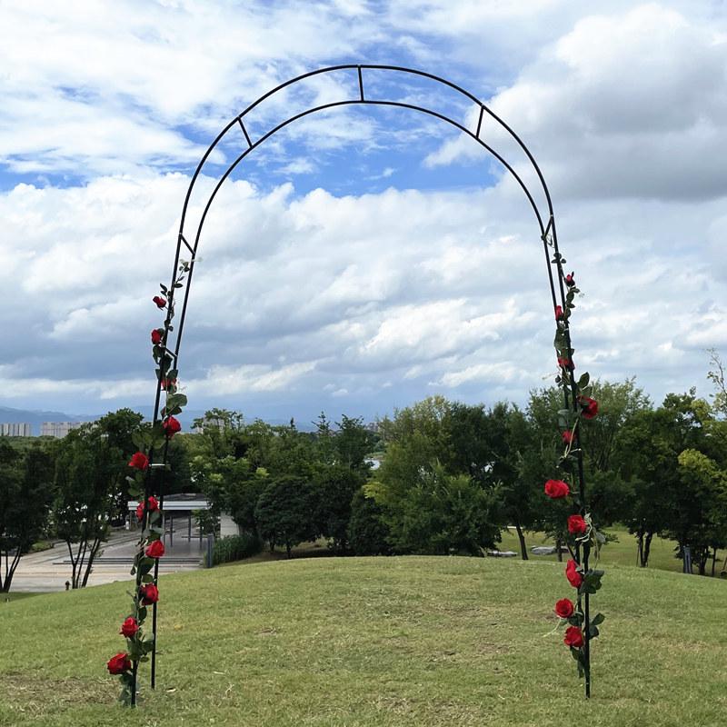 Garden Trellis Plant Climber Arch: Supports Grapes, Clematis, Blue Plumbago, Roses, and Vines