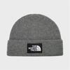 [The North Face (Sports)] The North Face Big Logo Beanie NE3BR61B
