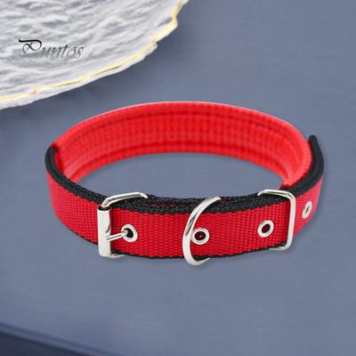 Pet Collar Adjustable Nylon Dog Neck Circle Long-lasting Pet Neck Strap with Traction Ring Pet Supplies
