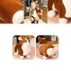 Cute Plush Corgi Dog Toy Soft And Huggable Stuffed Animal For Kids And Pets Brown And White Color 23cm