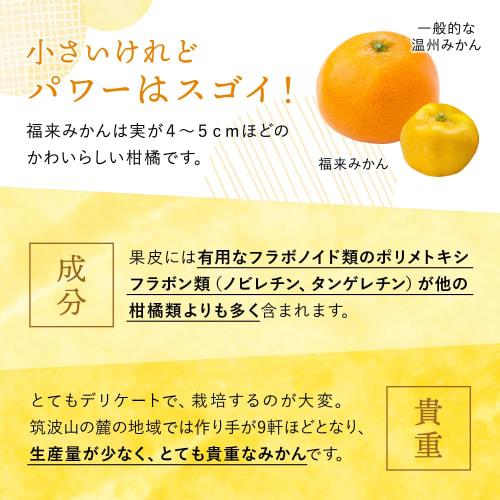 Fukure Mikan Hand Cream