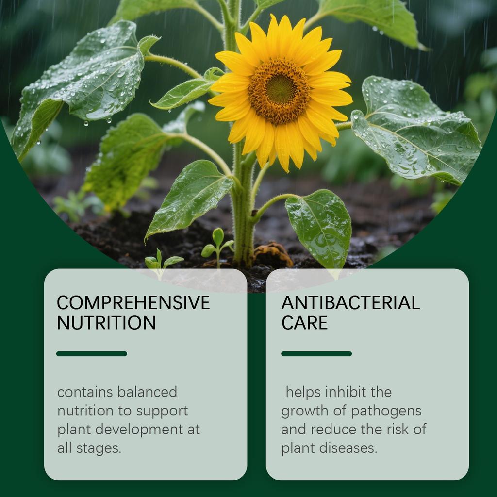 Plant Fertilizer, Indoor House Plants Liquid Food, 60ml Deep Nourishment For Cactus Orchid Hydrangea Monstera Pothos Garden Lawns Parks Balcony