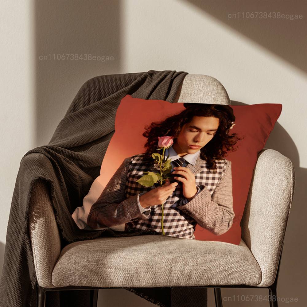 Handsome C-Conan G-Gray Pillow Case For Room Sofa Cushion Cover Suitable For Home Bedroom Decoration And Protector