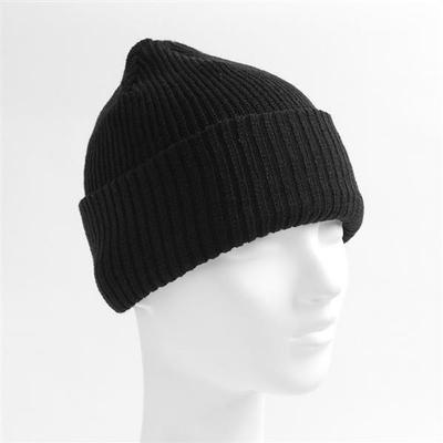 Daily Fashion Beanie (Black) / Winter Knit Hat