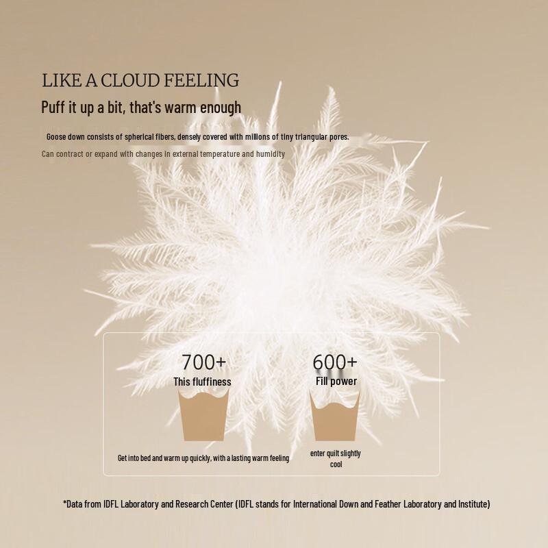 Mercury Home Textiles White Goose Down Winter Comforter