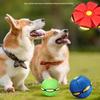 Newcomer Special: Dog Elastic Play Ball with Free Shipping