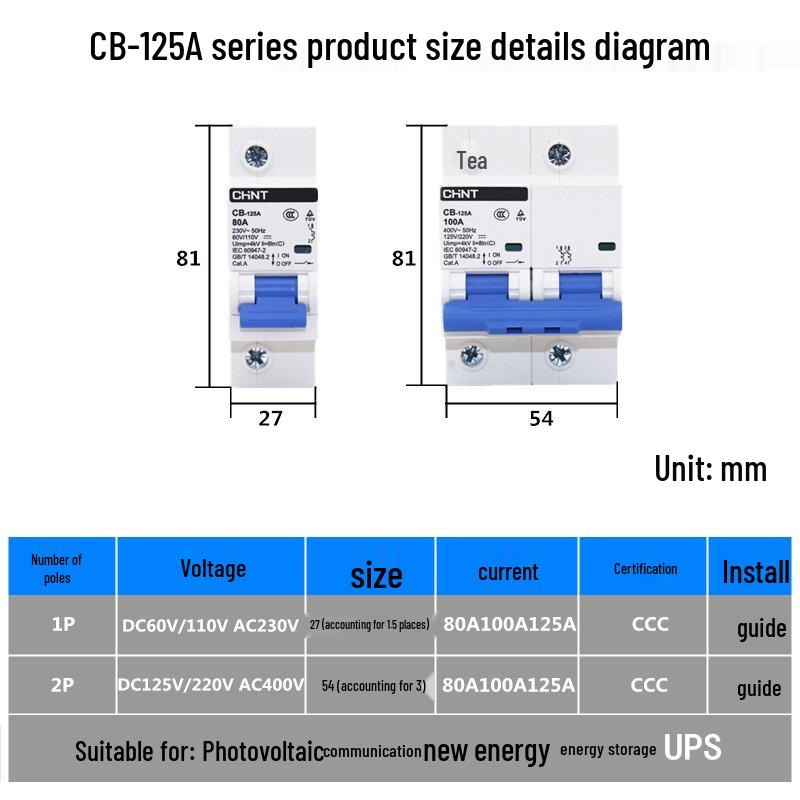 CHINT 1P/2P 100A/125A DC Circuit Breaker for Energy Storage, 110V