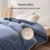 Heilan Home Antibacterial Xinjiang Cotton Quilt