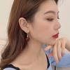 New Personalized Red Cherry Silver Needle Cherries Earrings Light Luxury High Temperament Earrings