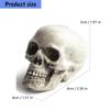 Plastic Mini Skulls for Repeat Use, 10-Piece Halloween Decoration Set That Rinses with Water for Tables, Shelves, and Seasonal Displays