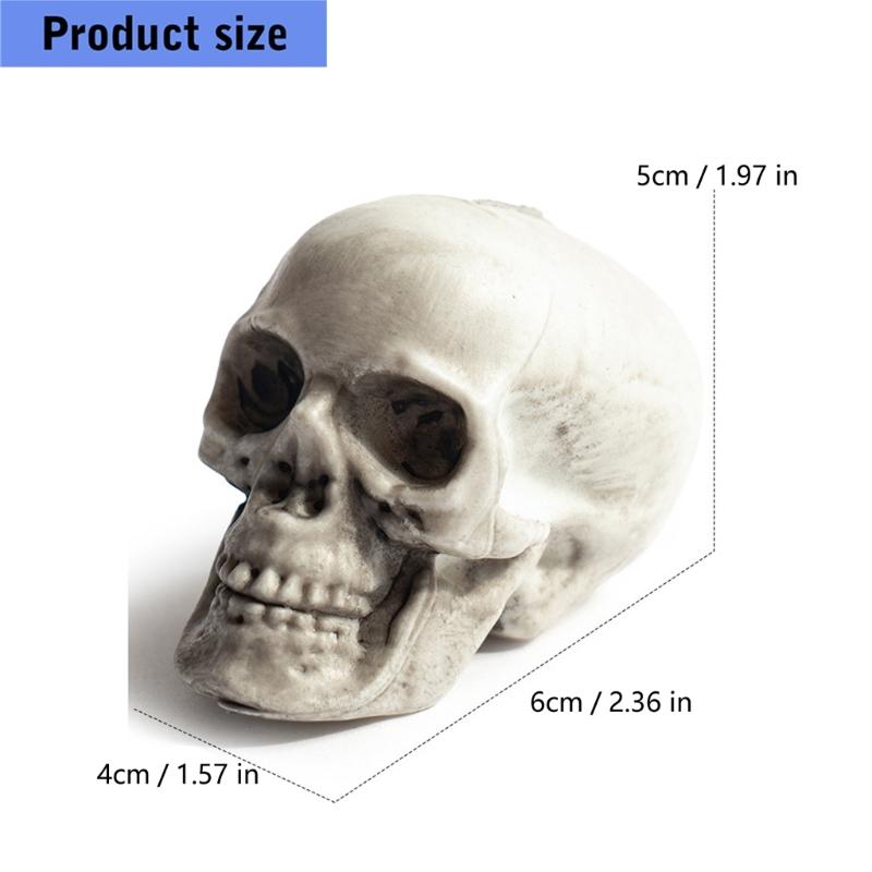 Plastic Mini Skulls for Repeat Use, 10-Piece Halloween Decoration Set That Rinses with Water for Tables, Shelves, and Seasonal Displays