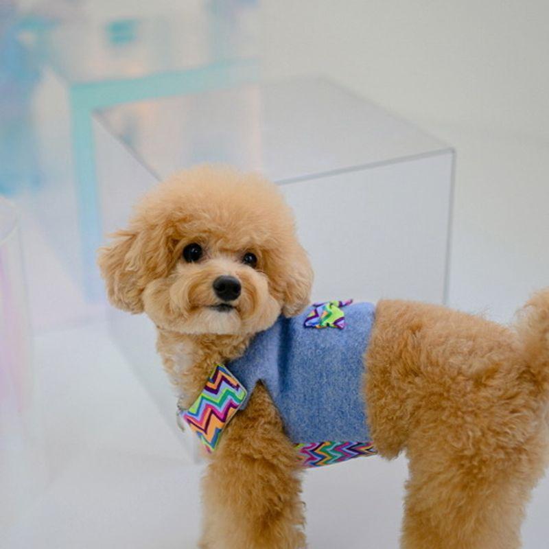 PLUM STUDIO Italian Virgin Wool Petit Bebe Crop Vest - Dusty Blue