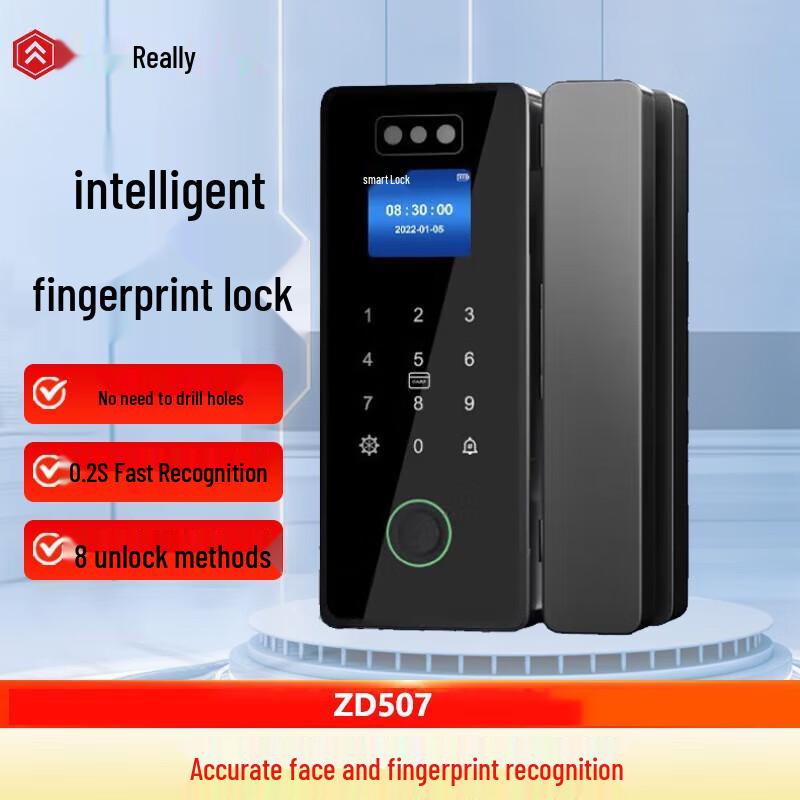 Zhen Di ZD507 3D Face & Fingerprint Smart Lock for Glass Doors