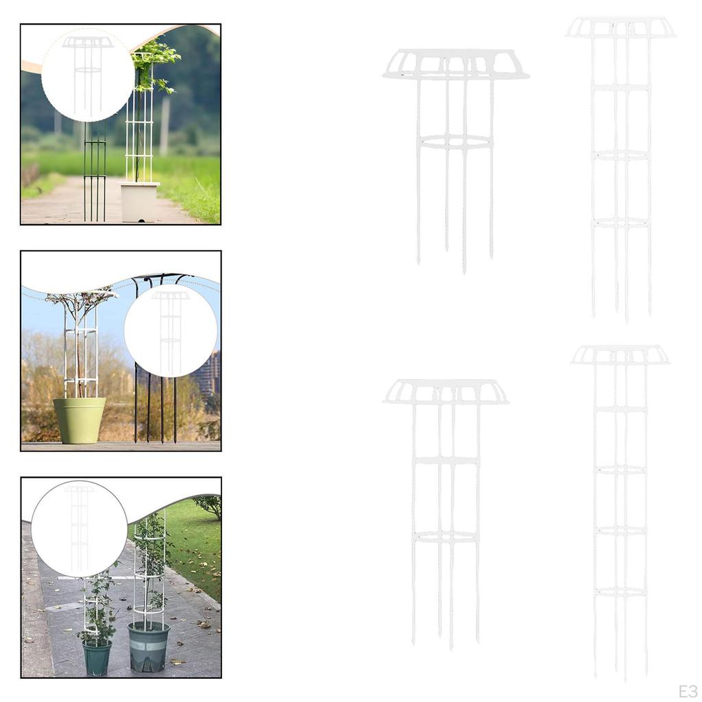 Support for Climbing Plants, , Vertical Cage, Structure Tomatoes, Practical Accessory