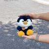 Cute Dolls, Treasure Animal Plush Toys, Girls, Puppy, Penguin, Children's Dolls