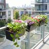 3 Pezzi Fioriera da Balcone con Staffe Regolabili Scatola per Ringhiera in Metallo Rettangolare da Appendere