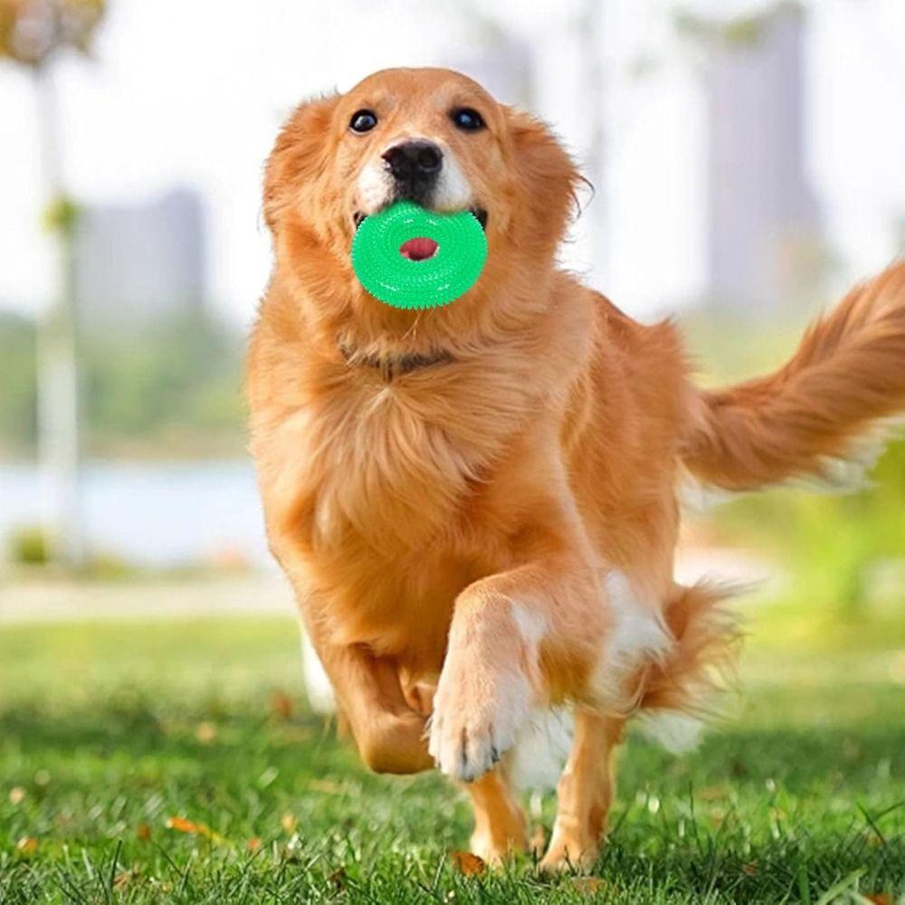 Multifunctional Dog Spiky Toy Durable Dog Teething Toy Spiky Training Ring for Small Medium Dogs