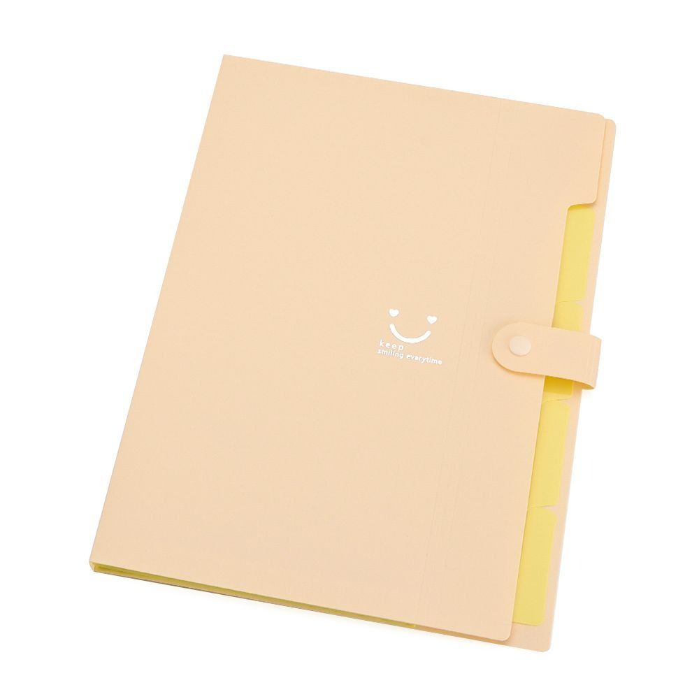 A4 File Folder Waterproof Test Paper Organiser New Organ Bag