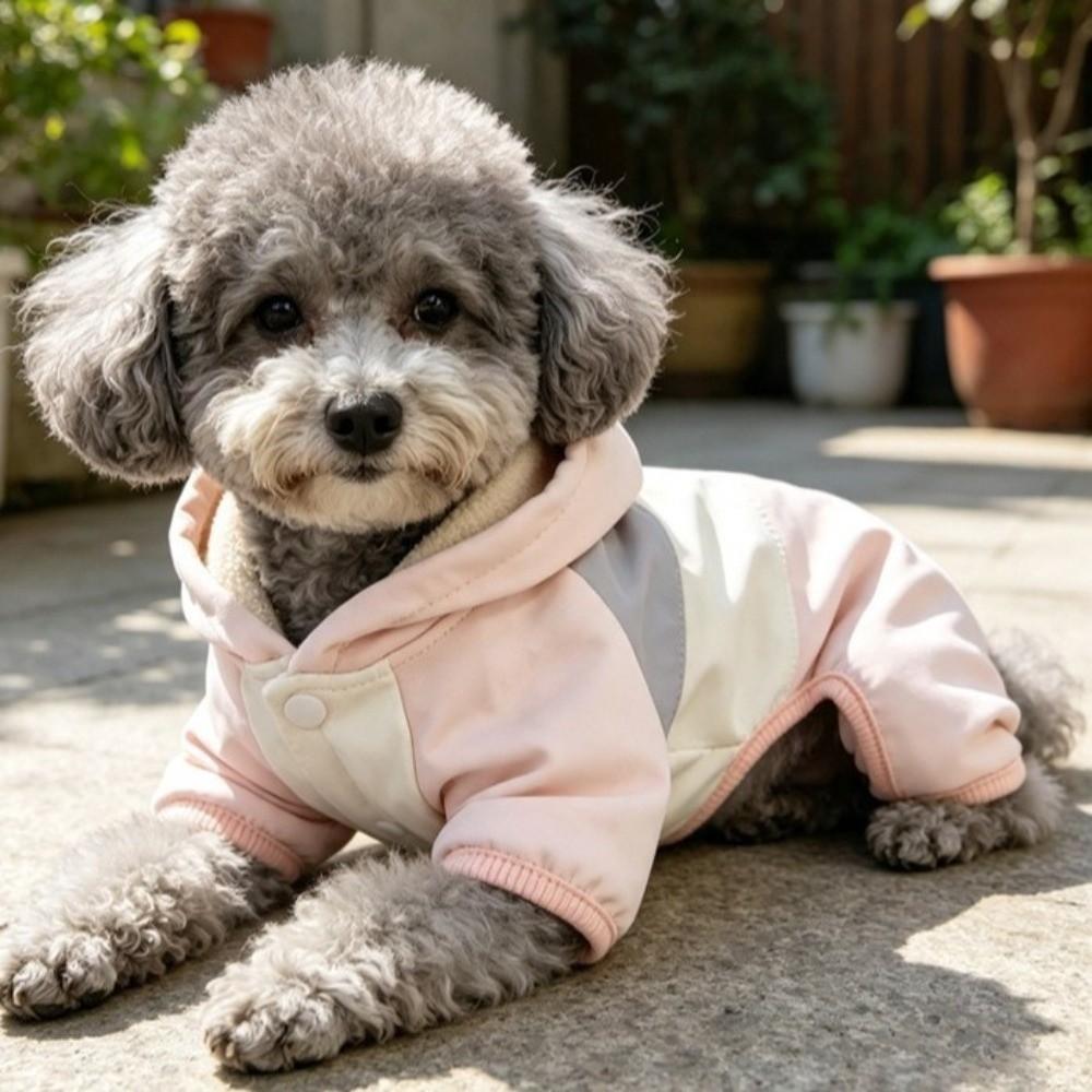 Windproof Dog Hooded Jumpsuit Color-Block Dog Four Legged Clothes Puppy Storm Coat  Small Dogs