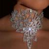 Adjustable Rhinestone Choker Necklace Shiny Bridal Necklace Collarbone Chain  Party Wear