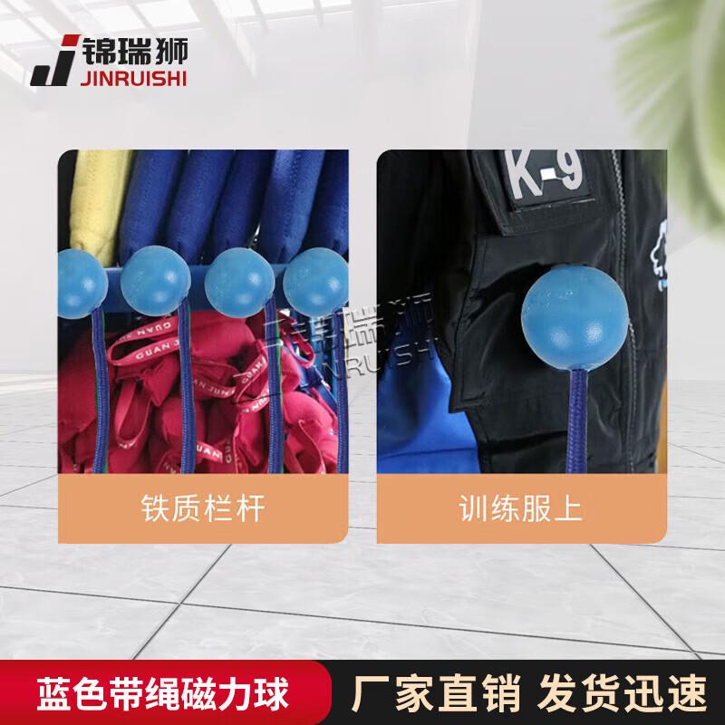 Dog Training Magnetic Fetch Ball with Rope