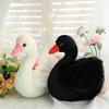 25cm Cute Black/White Swan Companion PP Cotton Plush Animal Doll Stuffed Toy Children Gift